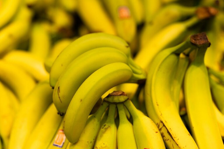 Bananes fraîches