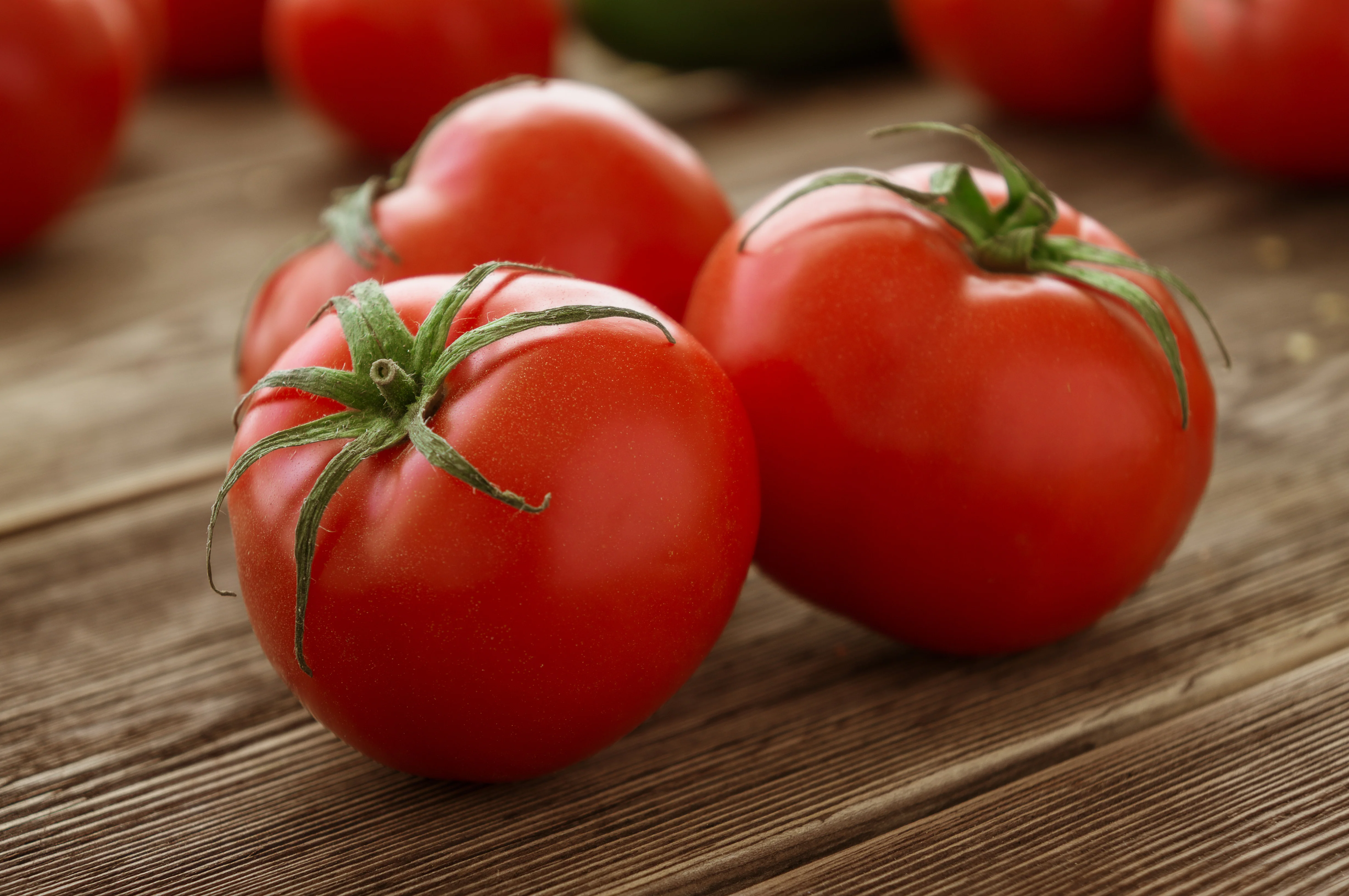 Tomates du marché